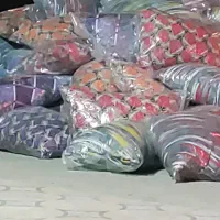 بالشت اقتصادی