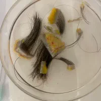 اموزش کات ابرو و‌رود به دنیای حرفه ای کاشت ابرو