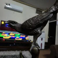 عقاب  یک متر وارداتی مجسمه برنز برنزی