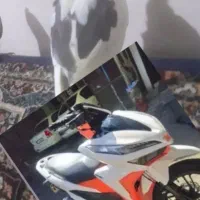 متور  عروس هلندی