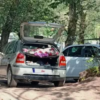 فلکس گل وارداتی 84|خودرو سواری و وانت|هشتگرد, هیو|دیوار