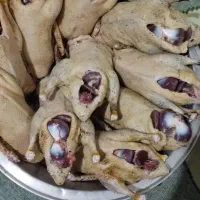 اردک پاک شده وزن عالی 330  تومان