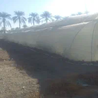 فروش گلخانه