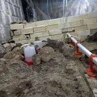 بلدرچین|حیوانات مزرعه|خمینیشهر, |دیوار