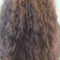 احیاوکراتین|خدمات زیبایی و سلامت|اهواز, اسماعیلیه|دیوار