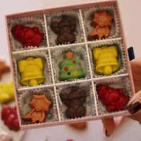 آموزش تخصصی و سفارش شکلات دست‌ساز شیراز