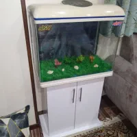 زیبا وتمیز با پایه درحد نو بادماسنج دیجیتالی درب