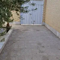 گربه پیدا شده