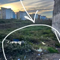 زمین-80-متری-زیر-قیمت-منطقه-پل-تالشان