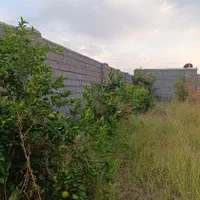 فروش باغچه/برق آب تصفیه/اول ورودی بنوارشامی|فروش دفتر صنعتی، کشاورزی، تجاری|دزفول, |دیوار