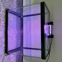 آکواریوم نو