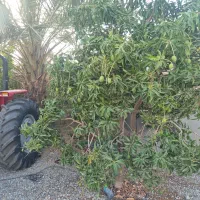 تراکتور ۴۷۵ تک مدل ۱۴۰۱