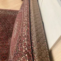 پشتی افشار (تکاب)|فرش|زنجان, |دیوار