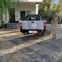 پراید وانت ۱۴۰۳|خودرو سواری و وانت|هشتگرد, تهران دشت|دیوار