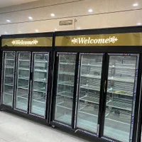 یخچال و فریزر فروشگاهی ایستاده