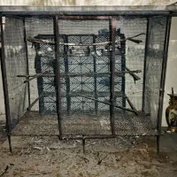 قفس کبوتر  بسیار بزرگ و جادار ب فروش می‌رسد .