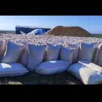 کاه گندم|حیوانات مزرعه|شیراز, کرونی(خاتونک)|دیوار