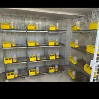 قفس تاشو کبوتر(جفتکن ،جفتگاه کفتر)