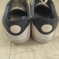 کتونی SERGIO TACCHINI|کیف، کفش، کمربند|گرمدره, |دیوار