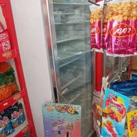 یخچال فریزر ایستاده SNG