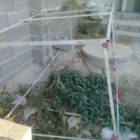 ۲عددمیز میوه تربار فروشی|فروشگاه و مغازه|برازجان, |دیوار