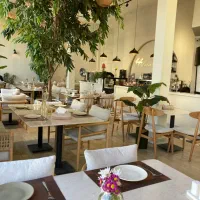 باریستا و بارتندر خانم وآقا کرج رزکان نو مشکین دشت|استخدام خدمات فروشگاه و رستوران|مشکیندشت, |دیوار