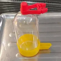 قالب ابخوری تپل چینی