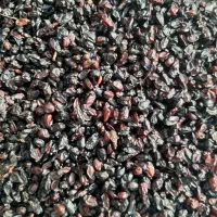 زرشک سیاه.کوهی،ابگیری