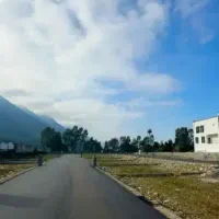 فروش-زمین-زیر-قیمت-شهرکی-ویو-جنگل