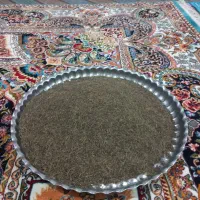 زیره سیاه کوهی