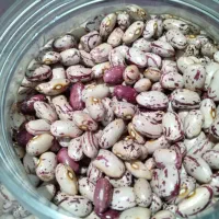 لوبیا چیتی