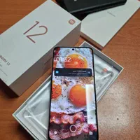 شیاومی Xiaomi 12 پرچمدار حافظه 256 رام 12