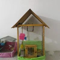 قفس چوبی|لوازم جانبی حیوانات|کرمانشاه, |دیوار