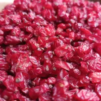 زرشک خراسان جنوبی