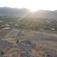 وشنوه زمین۲۵۰متر