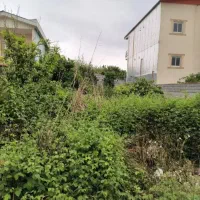 زمین-شمالی-باجنگلای-بکرنور-یه-ویلای-دنج-بساز-850م