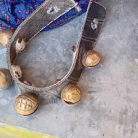 دسته قر سگ