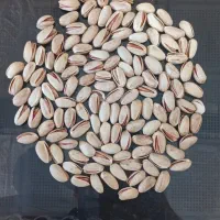 انواع پسته و مغز پسته موجود هست|خوردنی و آشامیدنی|بلداجی, |دیوار