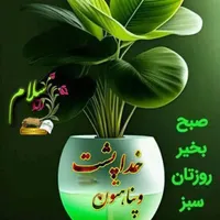 اسکان