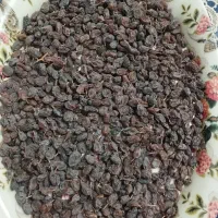 کشمش بیدانه آفتابی درشت