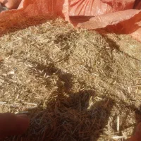 کاه سفید درجه یک|لوازم جانبی حیوانات|گنبد کاووس, |دیوار