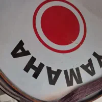 طبل سالم در حد نو