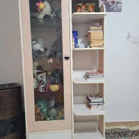 سرویس خواب کودک و نوجوان|تخت و سرویس خواب|رشت, لاکانی|دیوار