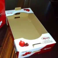 کارتن سازی پاپیروس|خدمات پیشه و مهارت|تهران, ابوذر|دیوار