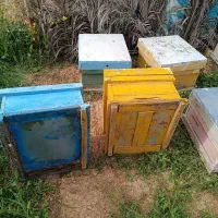 کندو  چوبی زنبور