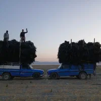 خریدارضایعات نوارتیپ