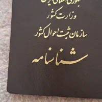 مفقودی مدارک شناسایی