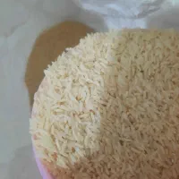 فروش برنج طارم هاشمی .سورتینگ شده