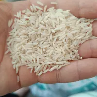 برنج طارم و شیرودی|خوردنی و آشامیدنی|قم, انسجام|دیوار