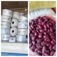 فروش لوبیا بذری و نوار تیپ